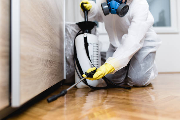 Best Cockroach Control Services  in Deenwood, GA