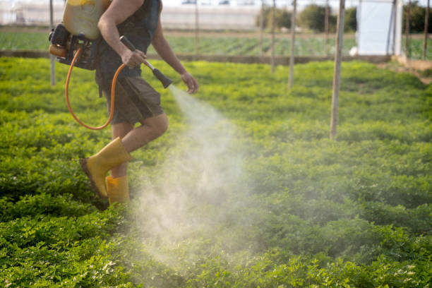 Best Commercial Pest Control Services  in Deenwood, GA