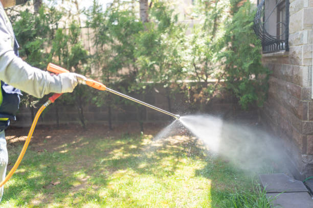 Best Termite Control Services  in Deenwood, GA