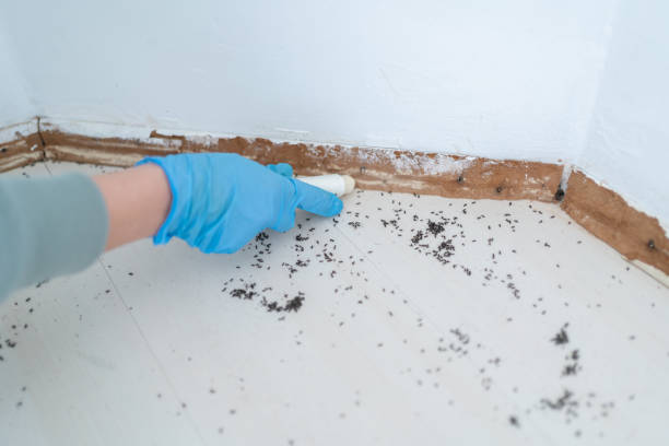 Best Exterminator Services  in Deenwood, GA